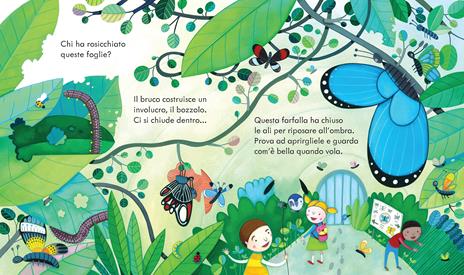 Zoo. Ediz. illustrata - Anna Milbourne,Simona Dimitri - 2