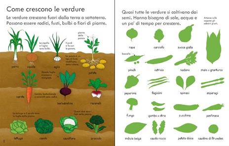 Cosa mangio? Con adesivi. Ediz. illustrata - Felicity Brooks,Rosalinde Bonnet - 2