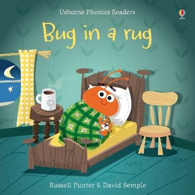 Bug in a rug. Ediz. a colori - Russell Punter - copertina