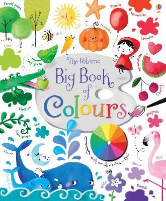 Big book of colours. Ediz. illustrata - Felicity Brooks - copertina