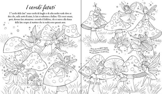 Mondo fatato. Ediz. illustrata - Susanna Davidson,Barbara Bongini - 3