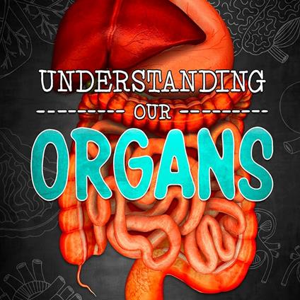 Understanding Our Organs
