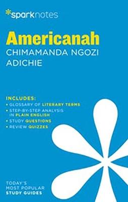 Americanah by Chimamanda Ngozi Adichie - cover