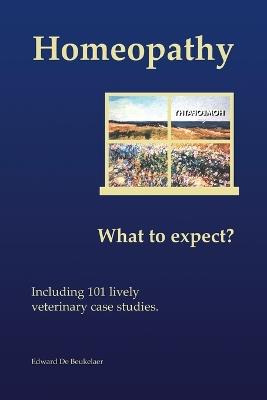 Homeopathy, What to Expect? - Edward De Beukelaer - cover