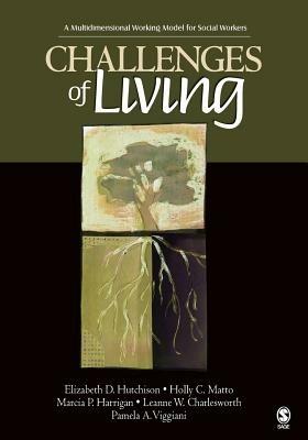 Challenges of Living: A Multidimensional Working Model for Social Workers - Elizabeth D. Hutchison,Holly C. Matto,Marcia P. Harrigan - cover