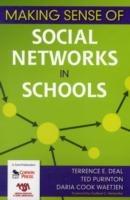 Making Sense of Social Networks in Schools - Terrence E. Deal,Ted Purinton,Daria Cook Waetjen - cover