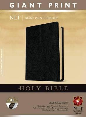 NLT Holy Bible, Giant Print, Black, Indexed - Tyndale - cover