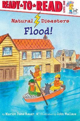 Flood!: Ready-to-Read Level 1 - Marion  Dane Bauer - cover
