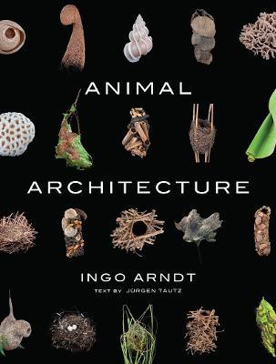 Animal Architecture - Ingo Arndt - cover