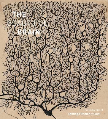 The Beautiful Brain: The Drawings of Santiago Ramon y Cajal - Larry Swanson,Eric Newman,Alfonso Araque - cover