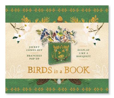 Birds in a Book (A Bouquet in a Book): Jacket Comes Off. Branches Pop Up. Display Like a Bouquet! - cover