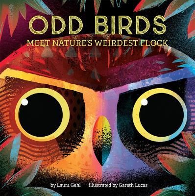 Odd Birds: Meet Nature's Weirdest Flock - Laura Gehl - cover