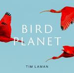 Bird Planet: A Photographic Journey