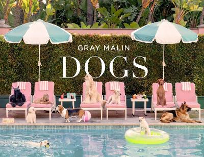 Gray Malin: Dogs: Photographs - Gray Malin - cover