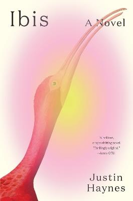 Ibis: A Novel - Justin Haynes - cover