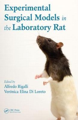 Experimental Surgical Models in the Laboratory Rat - cover