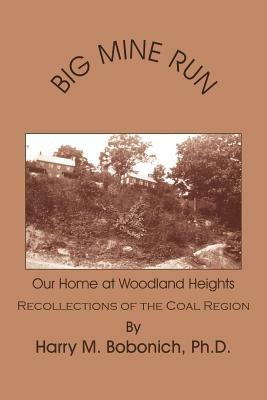 Big Mine Run - Harry M. Bobonich Ph.D. - cover