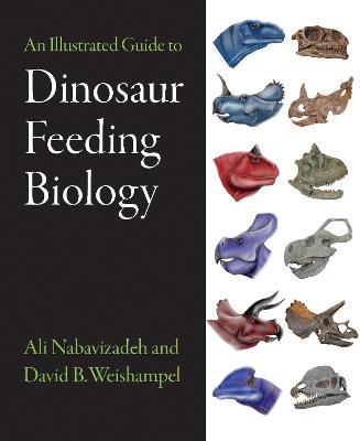 An Illustrated Guide to Dinosaur Feeding Biology - Ali Nabavizadeh,David B. Weishampel - cover