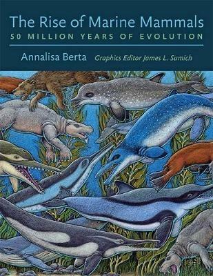 The Rise of Marine Mammals: 50 Million Years of Evolution - Annalisa Berta - cover
