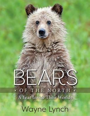 Bears of the North: A Year Inside Their Worlds - Wayne Lynch - cover