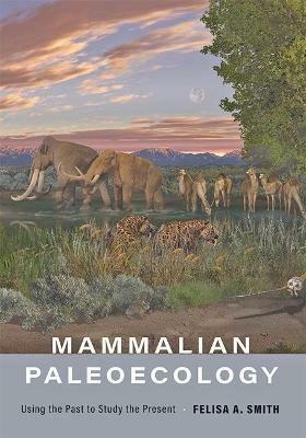 Mammalian Paleoecology: Using the Past to Study the Present - Felisa A. Smith - cover