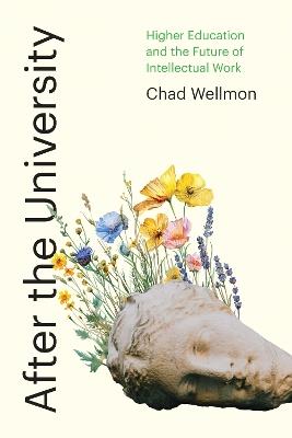 After the University: Higher Education and the Future of Intellectual Work - Chad Wellmon - cover