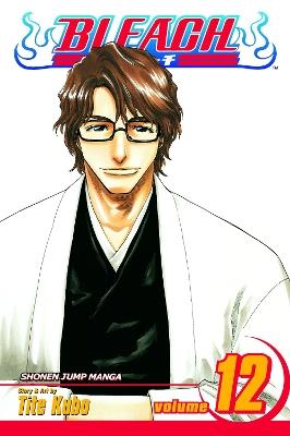 Bleach, Vol. 12: Flower on the Precipice - Tite Kubo - cover