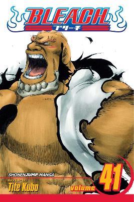 Bleach, Vol. 41: Heart - Tite Kubo - cover