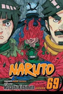 Naruto, Vol. 69 - Masashi Kishimoto - cover