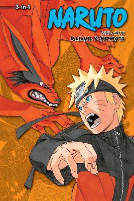 Naruto (3-in-1 Edition), Vol. 17 - Masashi Kishimoto - cover