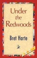 Under the Redwoods - Bret Harte - cover