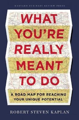 What You're Really Meant to Do: A Road Map for Reaching Your Unique Potential - Robert S. Kaplan - cover