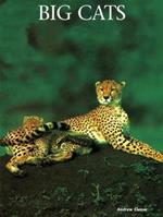 Big Cats: A Portrait of the Animal World
