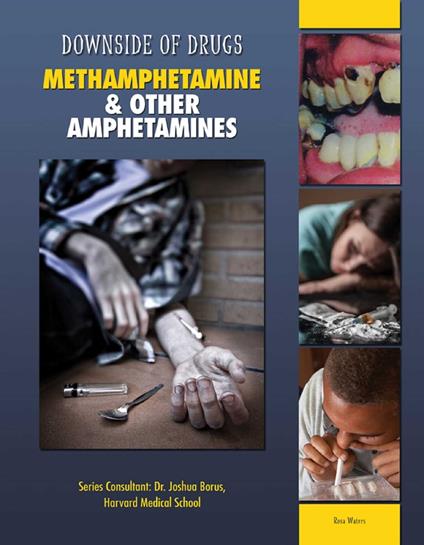 Methamphetamine & Other Amphetamines - Rosa Waters - ebook