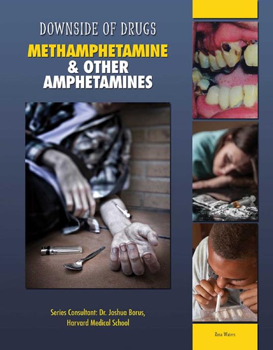 Methamphetamine & Other Amphetamines - Rosa Waters - ebook