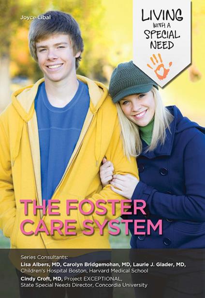 The Foster Care System - Joyce Libal - ebook
