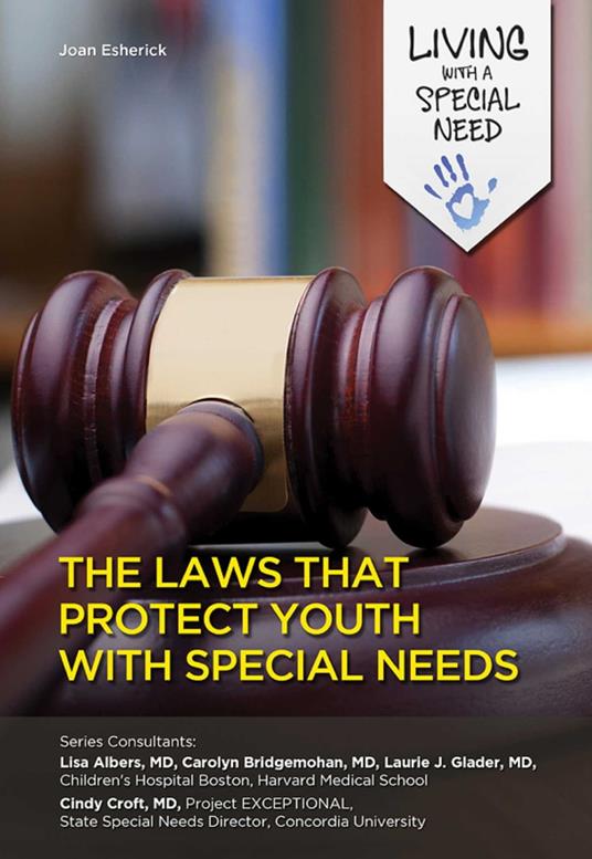 The Laws That Protect Youth with Special Needs - JOAN ESHERICK - ebook