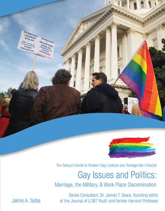 Gay Issues and Politics - Jaime A. Seba - ebook