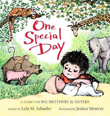 One Special Day: A Story for Big Brothers and Sisters - Lola Schaefer - cover