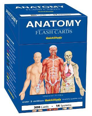 Anatomy Flash Cards (300 Cards) - Vincent Perez - cover