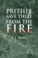 Prithee Save These from the Fire - T J King - cover