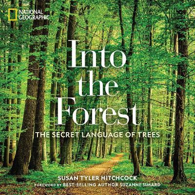 Into the Forest: The Secret Language of Trees - Susan Tyler Hitchcock - cover
