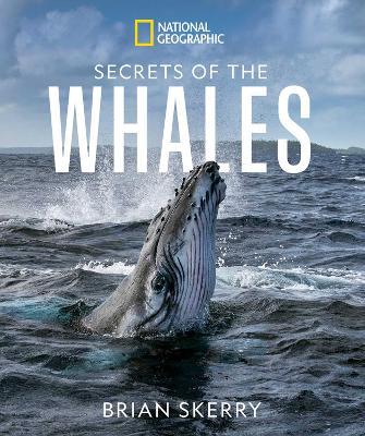 Secrets of the Whales - Brian Skerry - cover