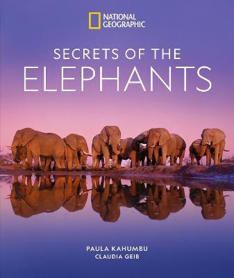 Secrets of the Elephants - Paula Kahumbu,Claudia Geib - cover