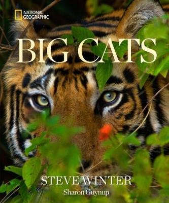 Big Cats - Steve Winter,Sharon Guynup - cover