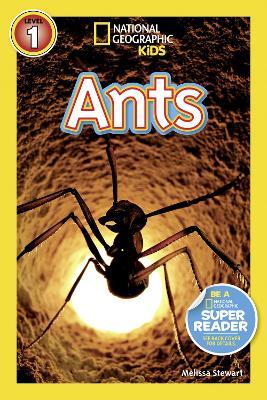 National Geographic Kids Readers: Ants - Melissa Stewart,National Geographic Kids - cover