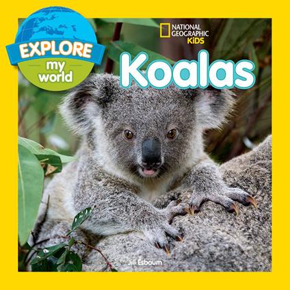 Explore My World: Koalas - Jill Esbaum - ebook