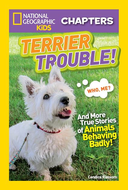 National Geographic Kids Chapters: Terrier Trouble! - Candice Ransom - ebook
