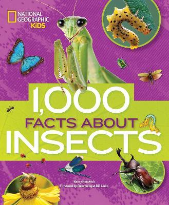 1000 Facts About Insects - National Geographic Kids,Nancy Honovich - cover