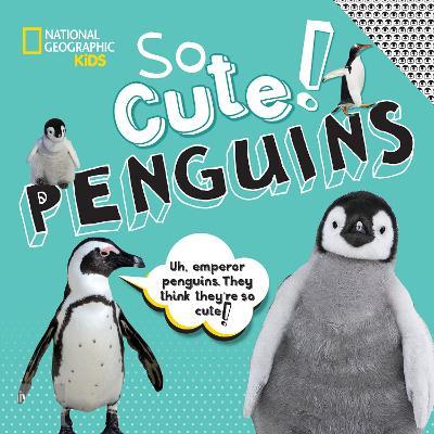 So Cute: Penguins - National Geographic Kids,Crispin Boyer - cover
